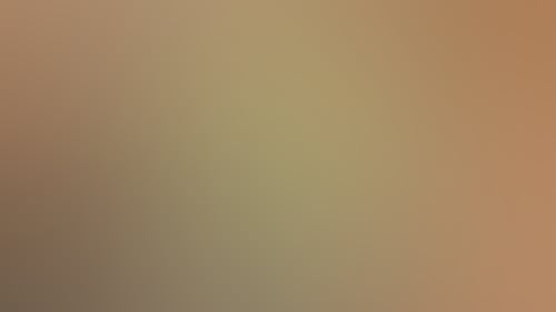 7Cd63B34F5F7F256Dba992Fc47F1C533