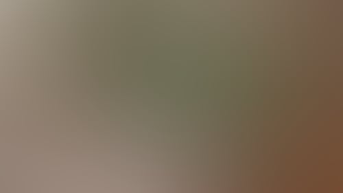 1341E27F80Ead0Bdc93A0B2222234764