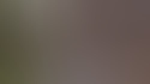 01113F52Accc45149E3D702E313846Fc