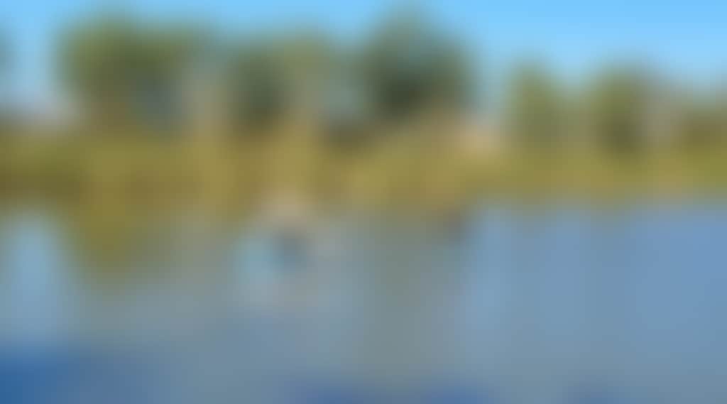C97962Fcfff29279Af9F1209C94A3F5B