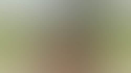 8F3392B6178Fc554484Fa5445830720B