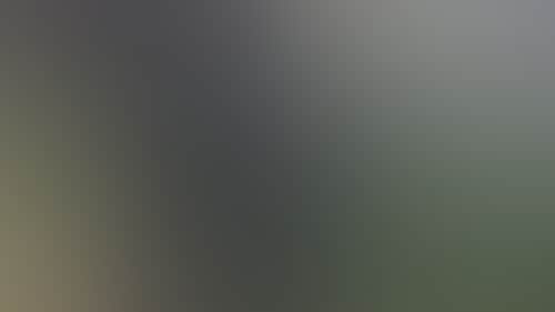 6B45Fcd754C22A9Bb2E55097310C0536