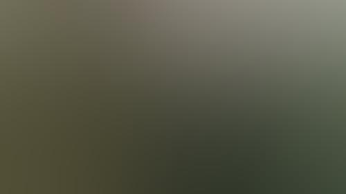 D908F9Ebd6F8Efd6Bc7E884B8591F1Bf