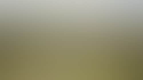 09C947Bebfd92E96526649Bf391Eed86