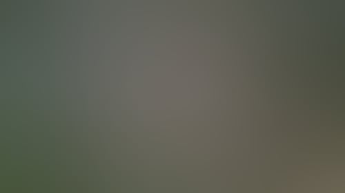 521B1C90435Ed134Ed5Fbf6A695Ad1D2