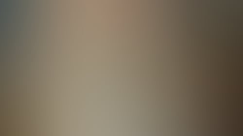 5C544Ef6D3172E010C8A42Ae0Fc5Ce6E