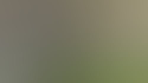 4B54231383C6C93Feb6774C014F7Ec62