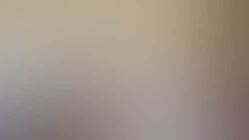 E78D53B331Bca6De2712006A70029Eec