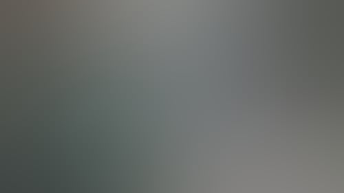 Bee59626Df44C7033762A229Ed39F791