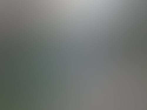 Bee59626Df44C7033762A229Ed39F791