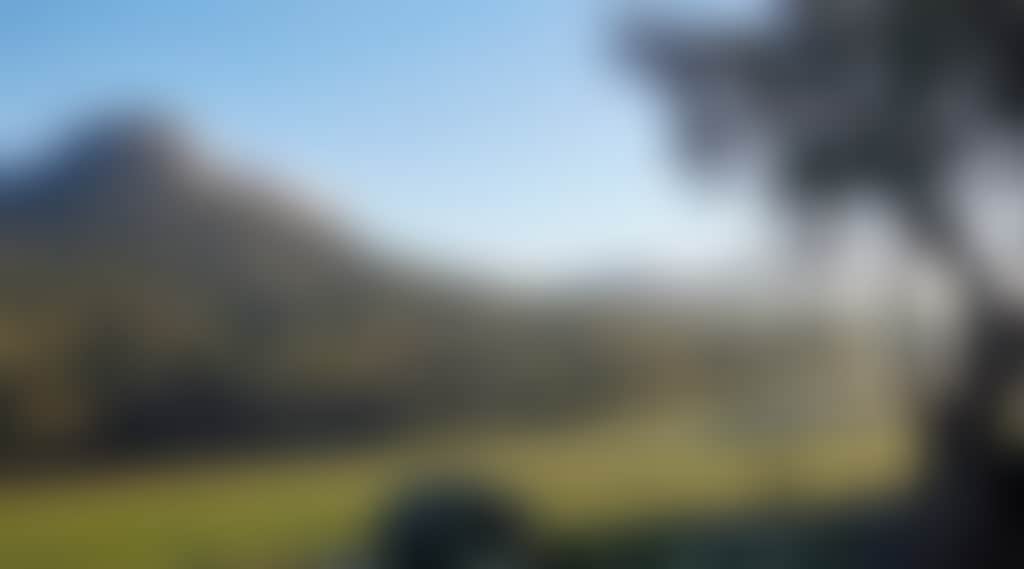 Df90454E0D299269202Ea1Ae3866F1E9