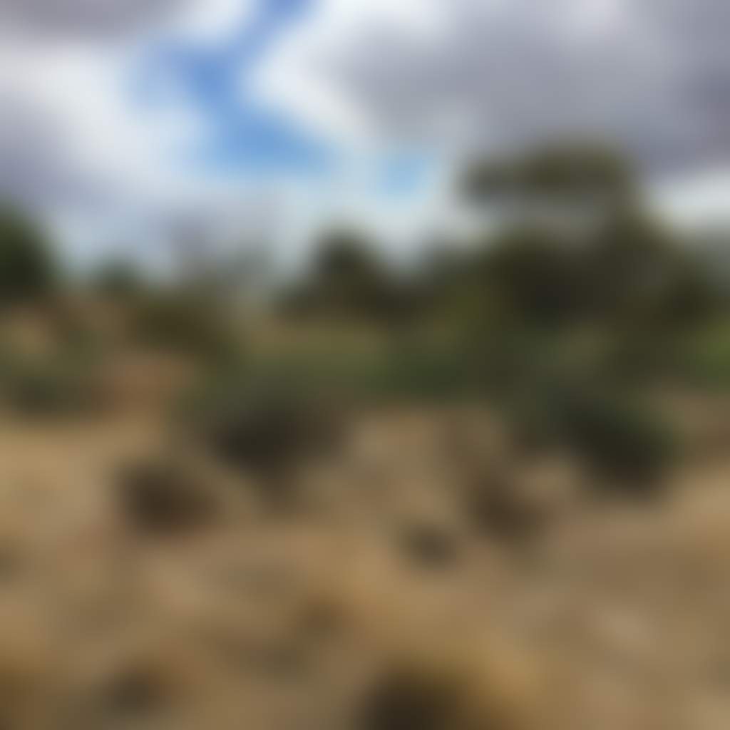 6A8F03413054157947E3D254E3Ec9382