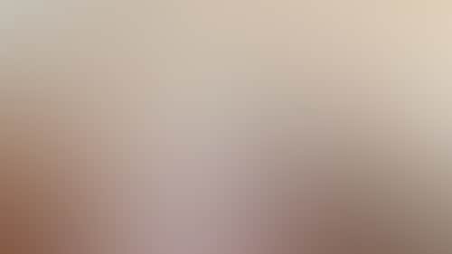 9816892765A9Dfb6Ea3Ffbefc646Ea9D