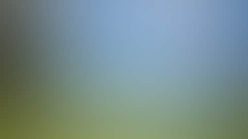 B546947681Fe403Bee53Aaf526411Abb