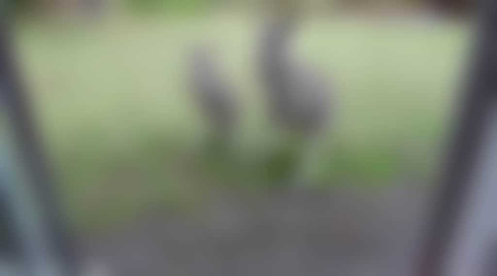 1Cd5Cc9Ea1F43079C3D4B991F52Ddee8