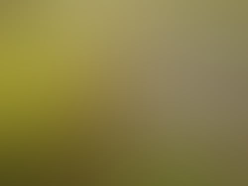 22069886 596654204058098 6011735543199563776 n1