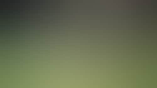 Bee9Eb02Ff7E9369Db766D78B23B6642