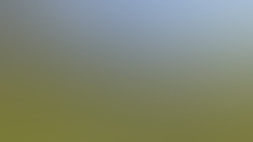 502Da943E86C2141174E0F31A385F805