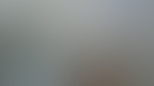 2A882Cf743878F8D4C186844Ee416Dc4