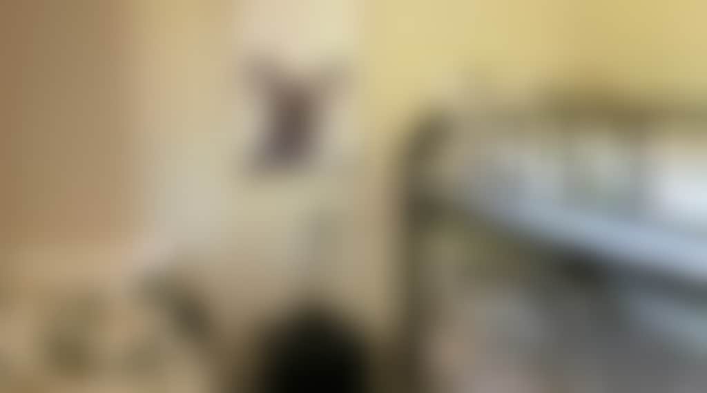 E74Fd41F157C9Dd0D54A3D67Dfc07Fbb