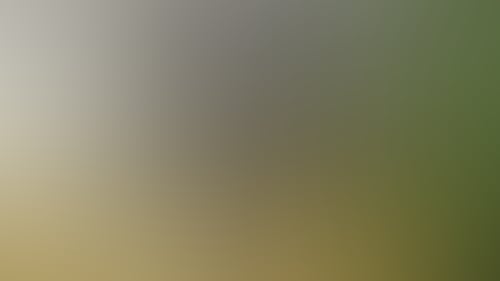 D4E44Cfb91Eb1E7Dfbdae2D5C6Aa93Fe