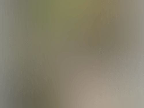 IMG 3