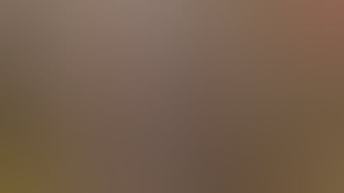 7D8F50951B38B69745681858372D7497