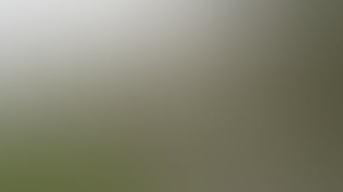 Cc542E8C76F1Ad3E36F7A3B3D69E5532