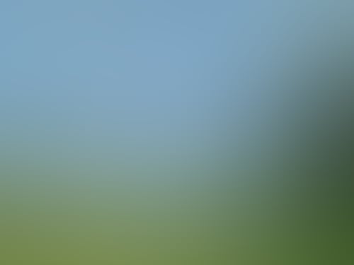 3D5700Abf3Eb0438275D51B0Eb55Fbc5