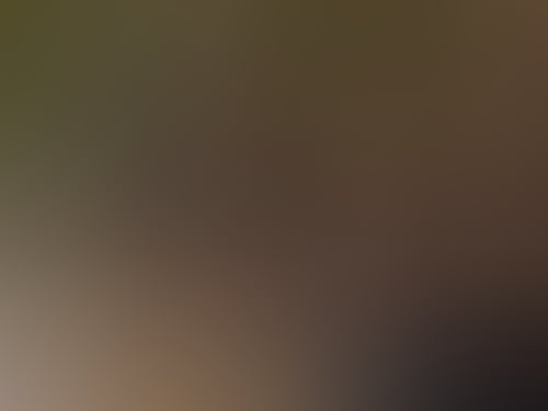 003 A6869