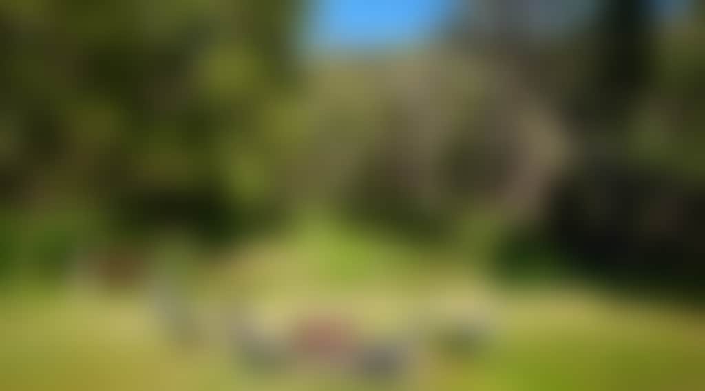A907217889E9146B97F58C7C8786E2E0