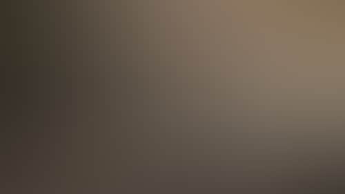 Ab7Dd972596B82254D9C9666978C539F