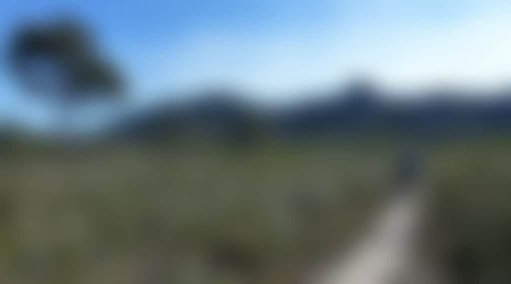 Original__9651317_Al52_P1020900_8Fndy5F