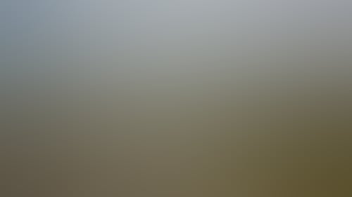34C612C52D9907796D398C34C253F760