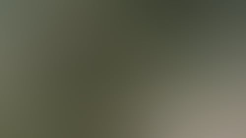 Cb7B2A95Db1017091Fa3Fbc8Abd2Cde5