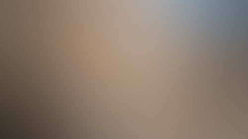 4D74D97189Ee3Ce2A32D15Dac57Aa625