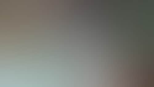 7173576Fb138D200D5088560Afedb600