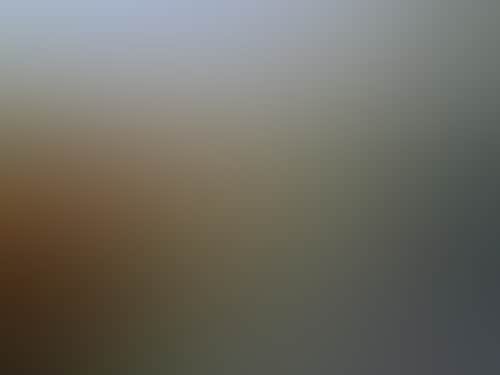 Horsham Botanic Gardens