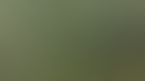 D13276C27Cdef89Cc59Aaf79Acb608D3