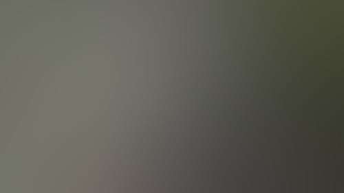 E360Ef222898Ad3148231F324B4Fa2C4