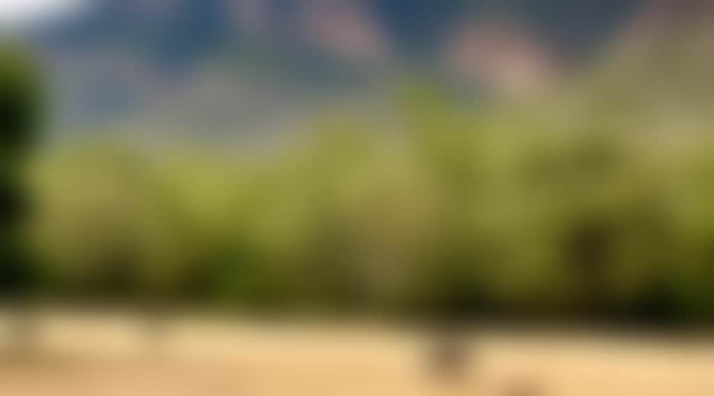 6A214906485867Bf543598044F0C1Cee