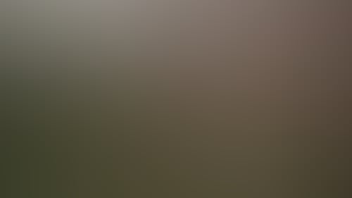 D74F330C0Cd985797B5Bca65Eb36F58D