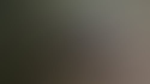 4Dd5E0Ec2C517C464575D7D7Cf6Cdf41