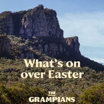 thegrampians