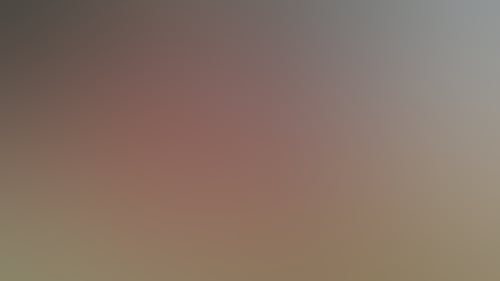 55178E1986F261Be0Af6D8C9753639D5