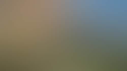 26D1D382Dbaff43C9D80358D7041Af35