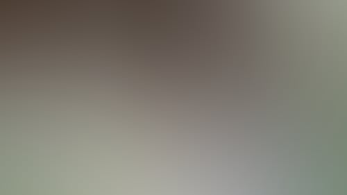 4D8Fc8307528126050F96F925Bf12702