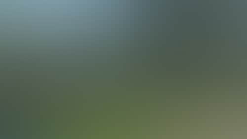 A26A723E3C26484Fa275Dfa54458603F