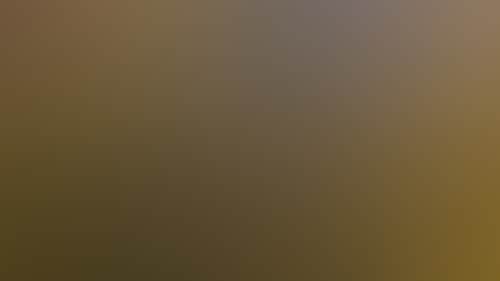 E9Ea5907C85604B49E1Eb730A2Eb72D1