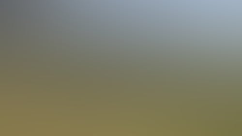 126523 56